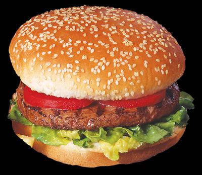 Hamburguer Simples