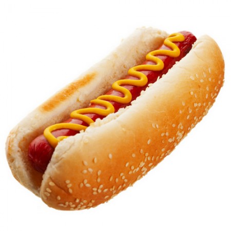 Cachorro Simples